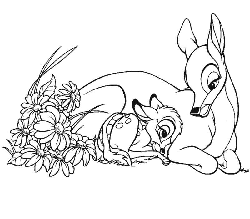 coloriage bambi et sa maman